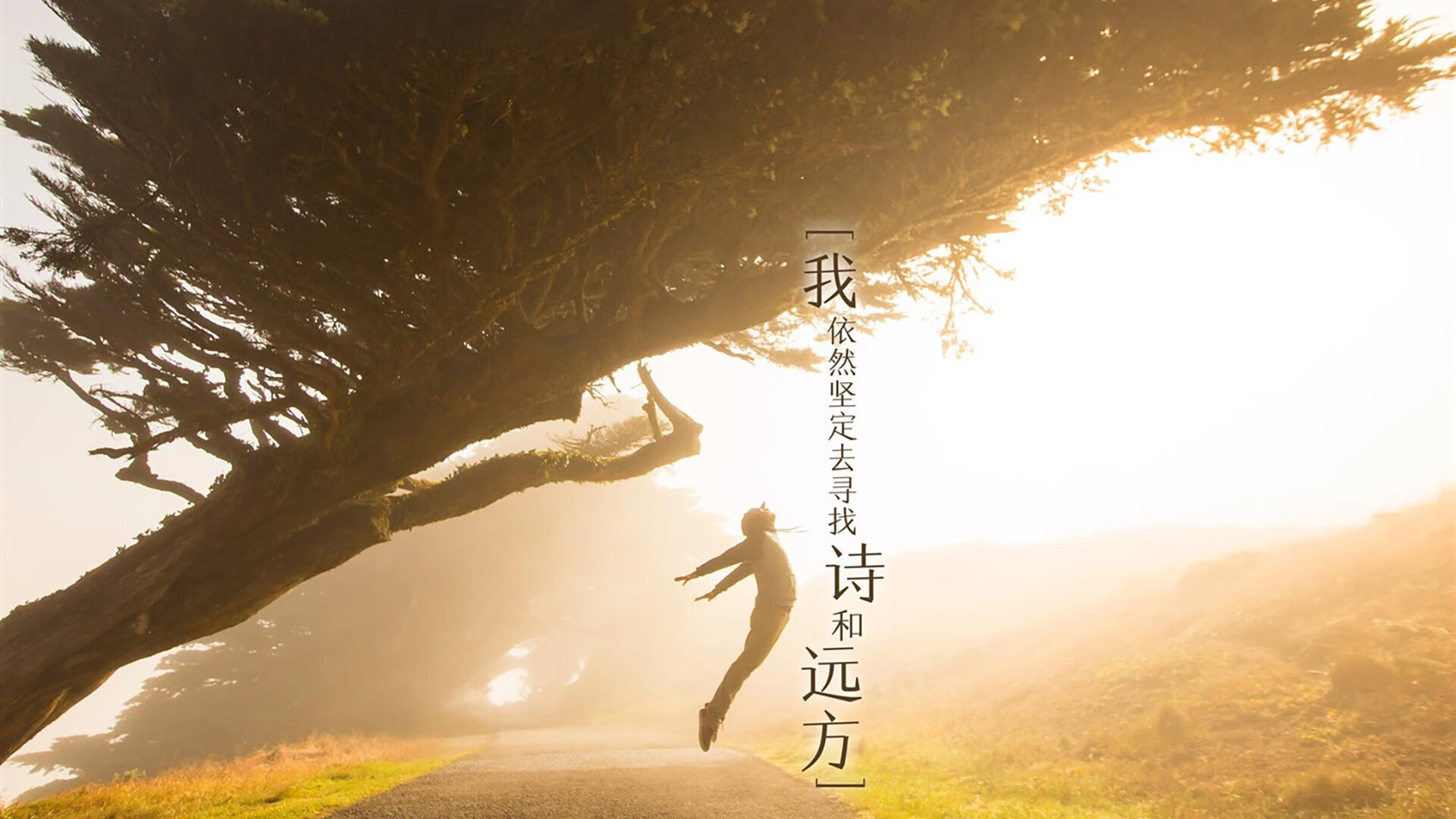 B体育-夺冠热门实力浮出水面，国家队壮大实力碾压对手，夺冠 国家队出演