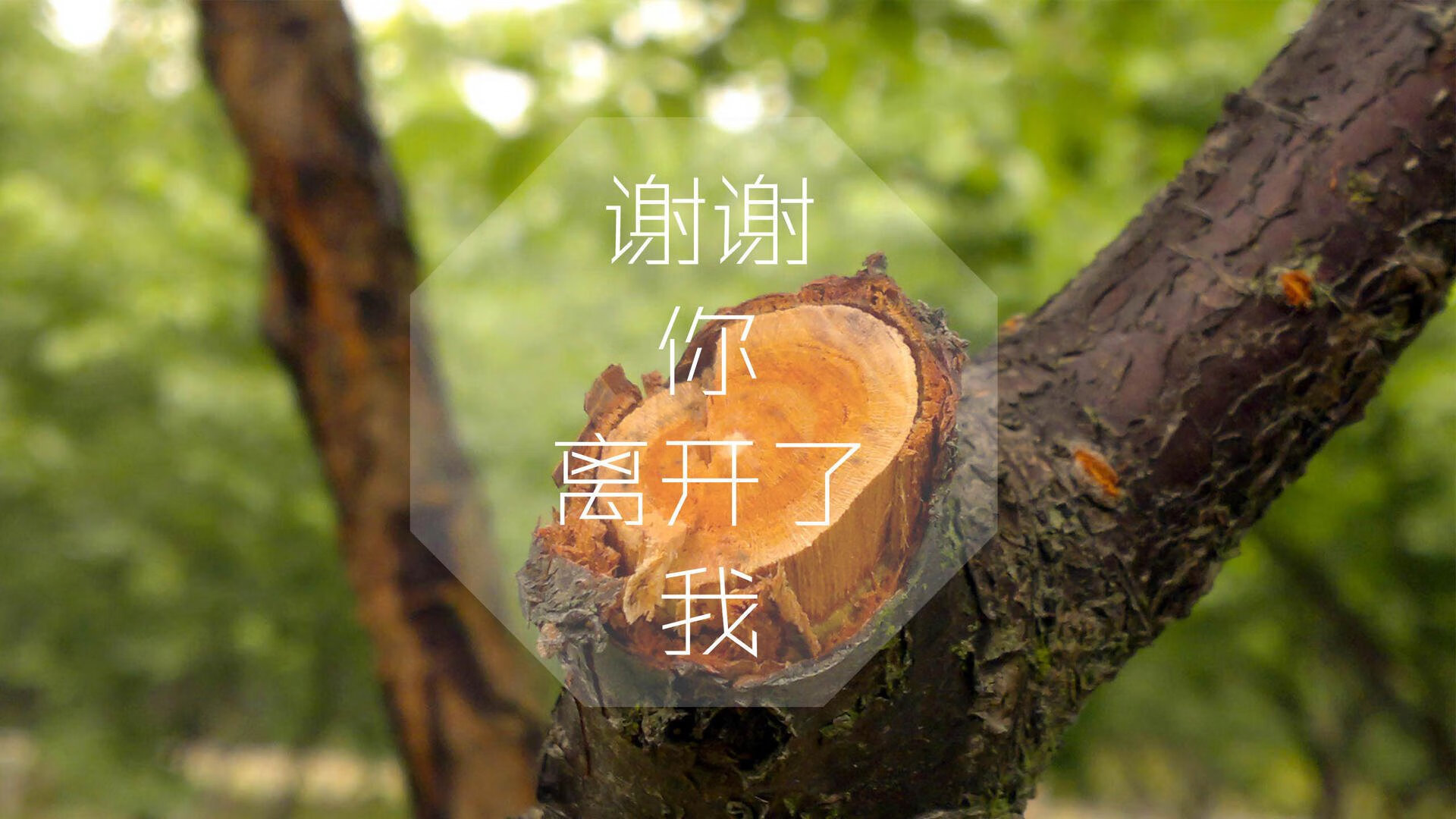 电竞职业选手心理压力缓解与团队支持机制，电竞职业选手受影响