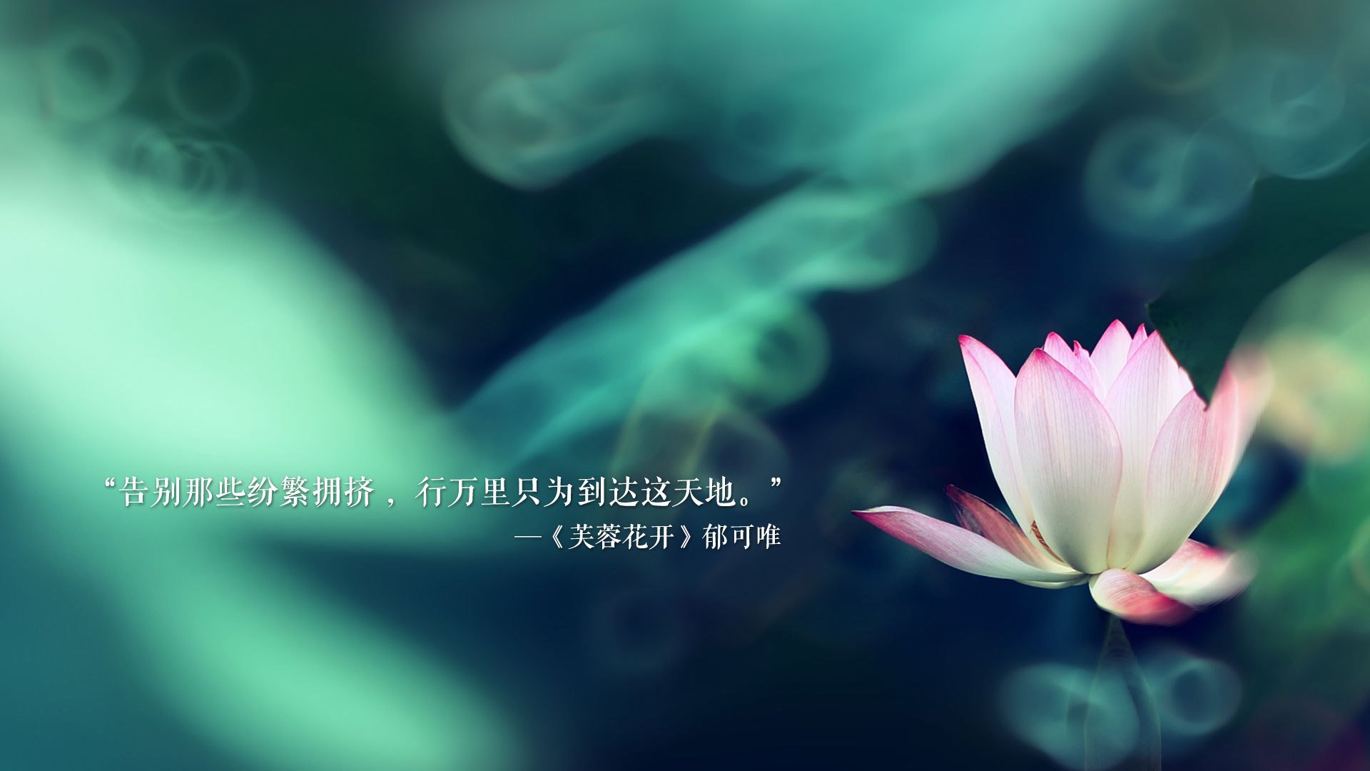 B体育下载-篮网防守效率提升实现阶段性突破，篮网防守球员