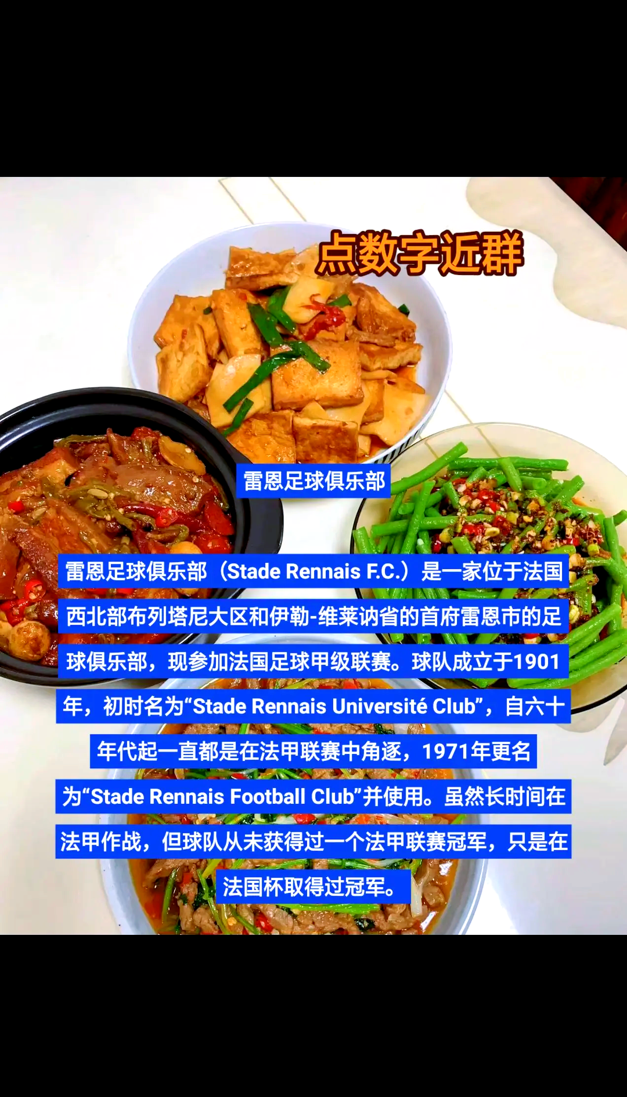 b体育下载：法甲雷恩的青训体系成就未来的简单介绍