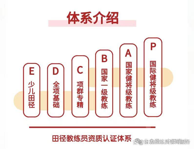 B体育官网：中国篮球教练员培训体系完善，提升执教水平的简单介绍